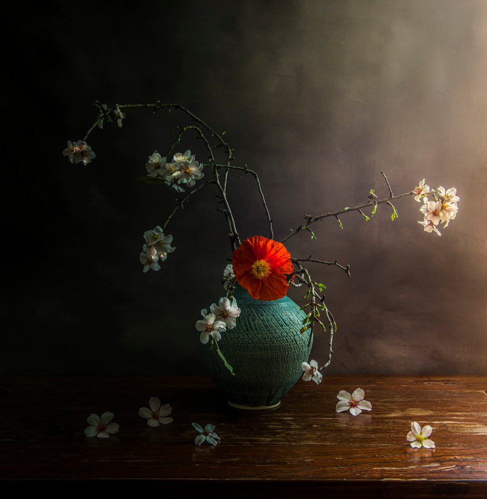 Stemningsfulle valmueblomster av Judy Tseng
