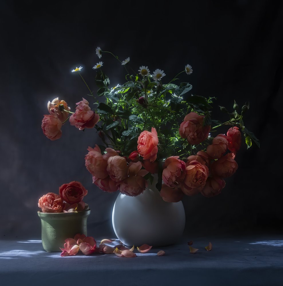 Stilleben med stemningsfulle roser av Judy Tseng