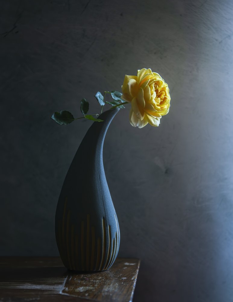 Moody Yellow Rose av Judy Tseng