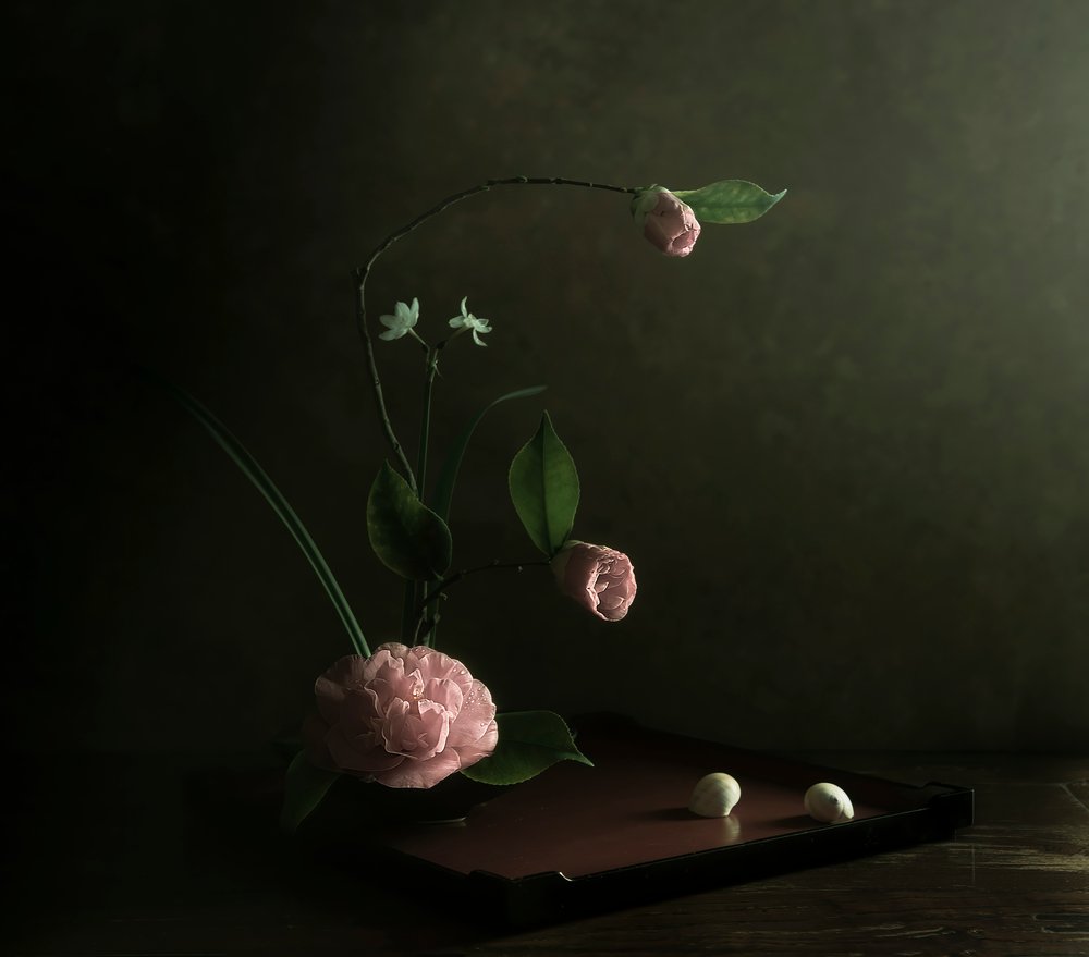 Ikebana med rosa kamelia av Judy Tseng
