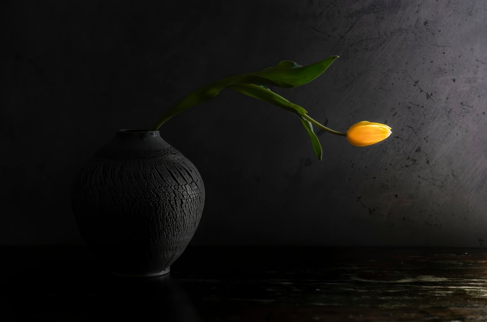 Stilleben med gul tulipan av Judy Tseng