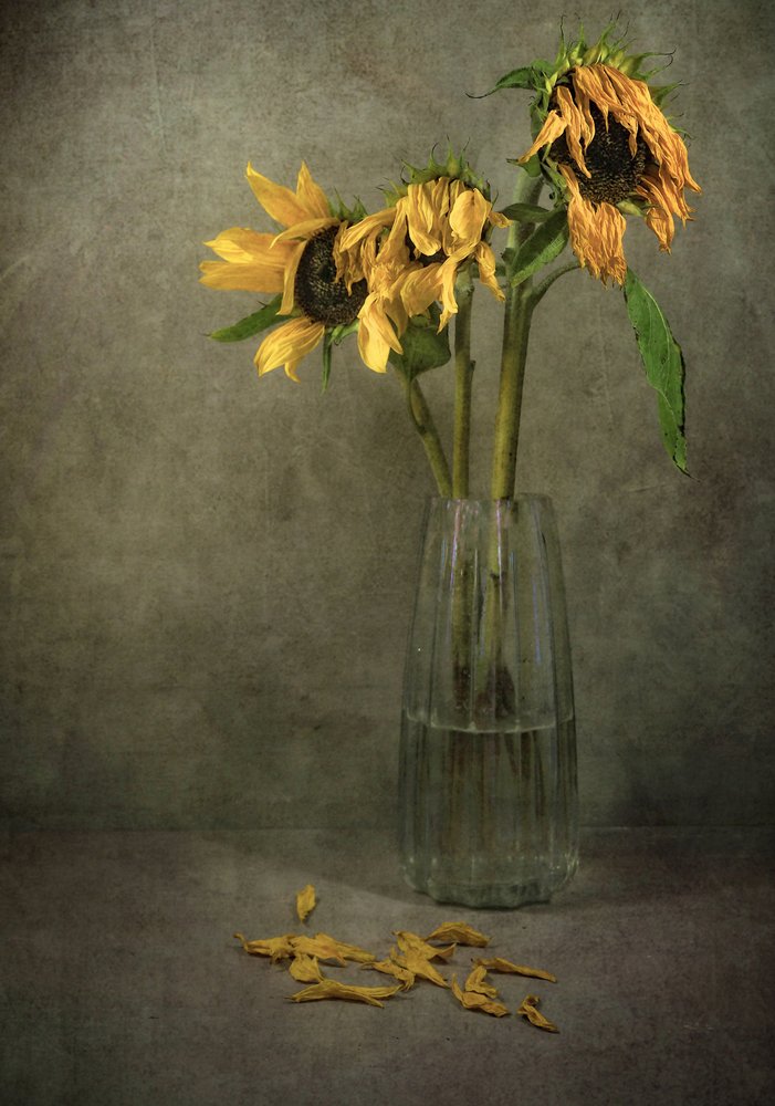 Melankolske solsikkeblomster av Karen Smalley