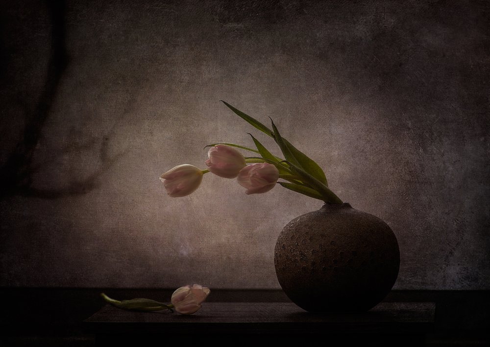 Elegante stemningsfulle tulipaner av Katarina Holmström