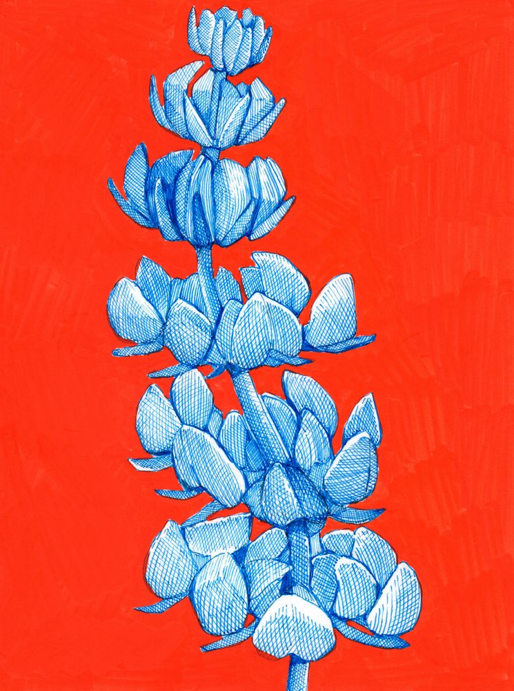 Dristig blå blomst av Katie O'Shea