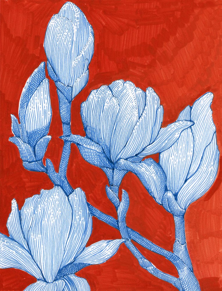 Dristige blå magnoliaer av Katie O'Shea