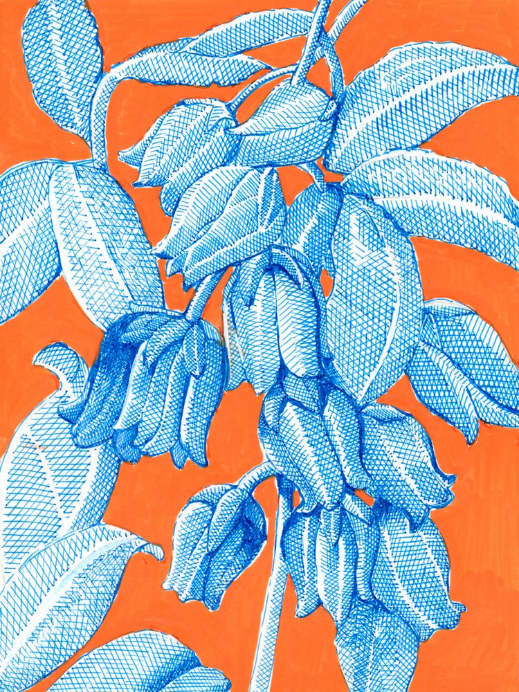 Livlige blå botaniske motiver av Katie O'Shea