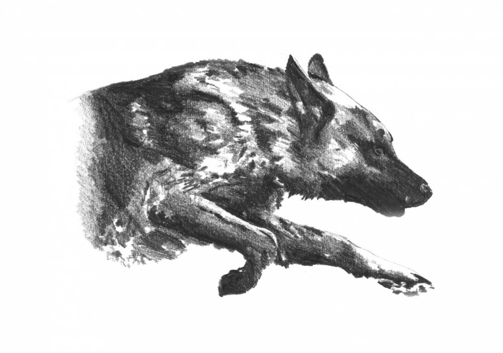  av Kulik