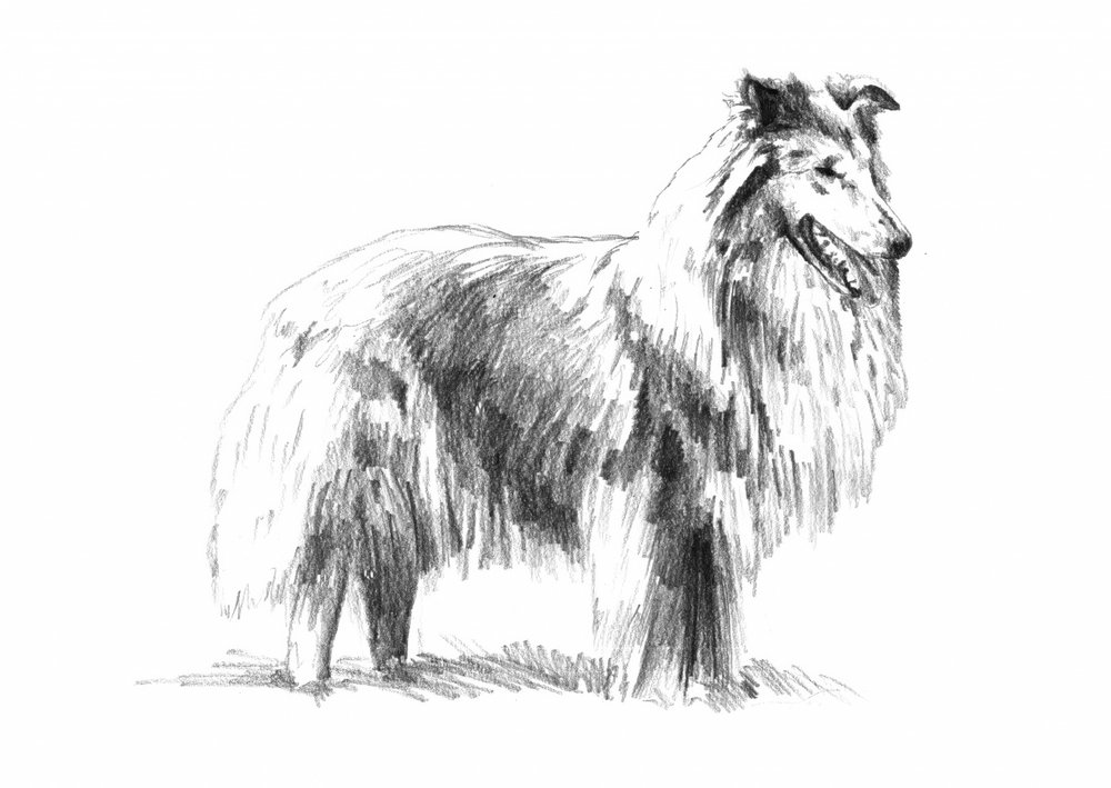  av Kulik