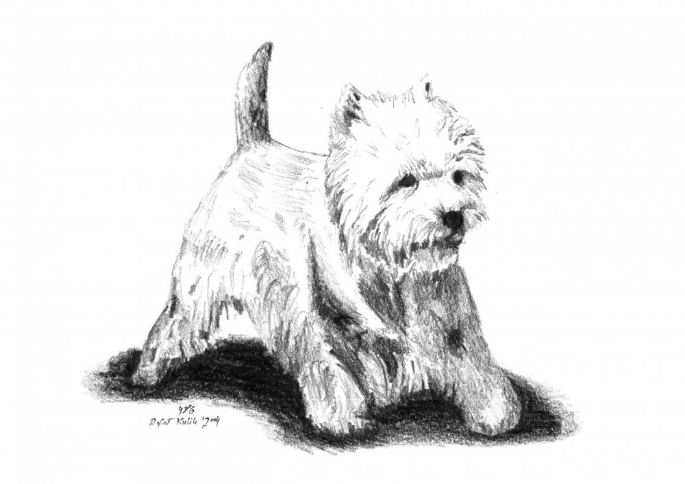  av Kulik