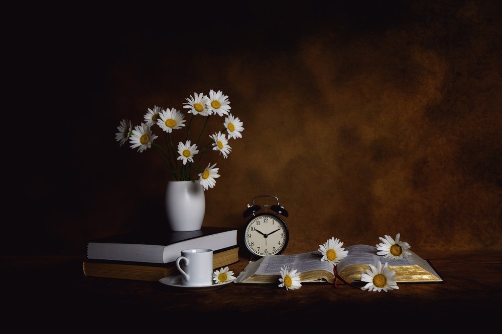 Daisies Books Morgenfred av Leah Xu
