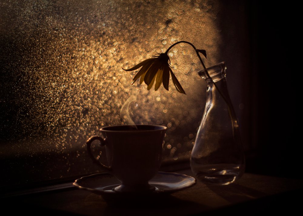 Gyldent lys, kaffe, blomst av Lenka