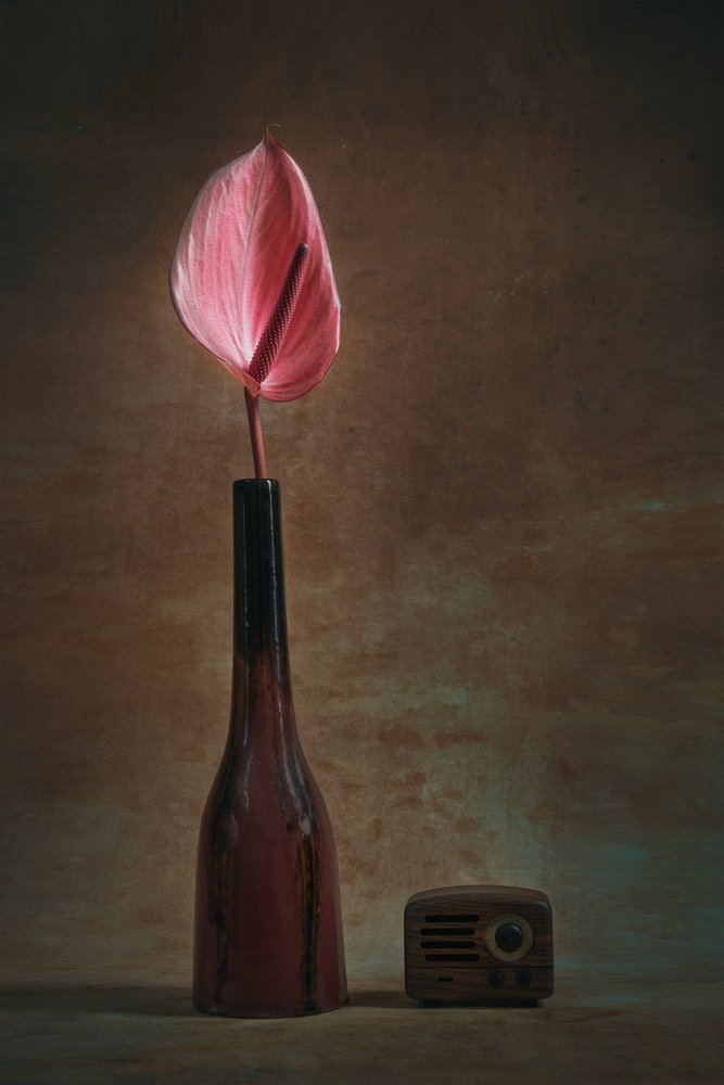 Elegant Anthurium og Radio av Liu Xing