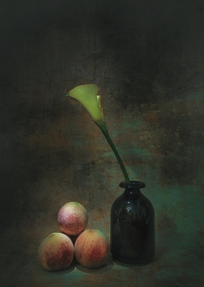 Stilleben med en stemningsfull calla-lilje av Liu Xing