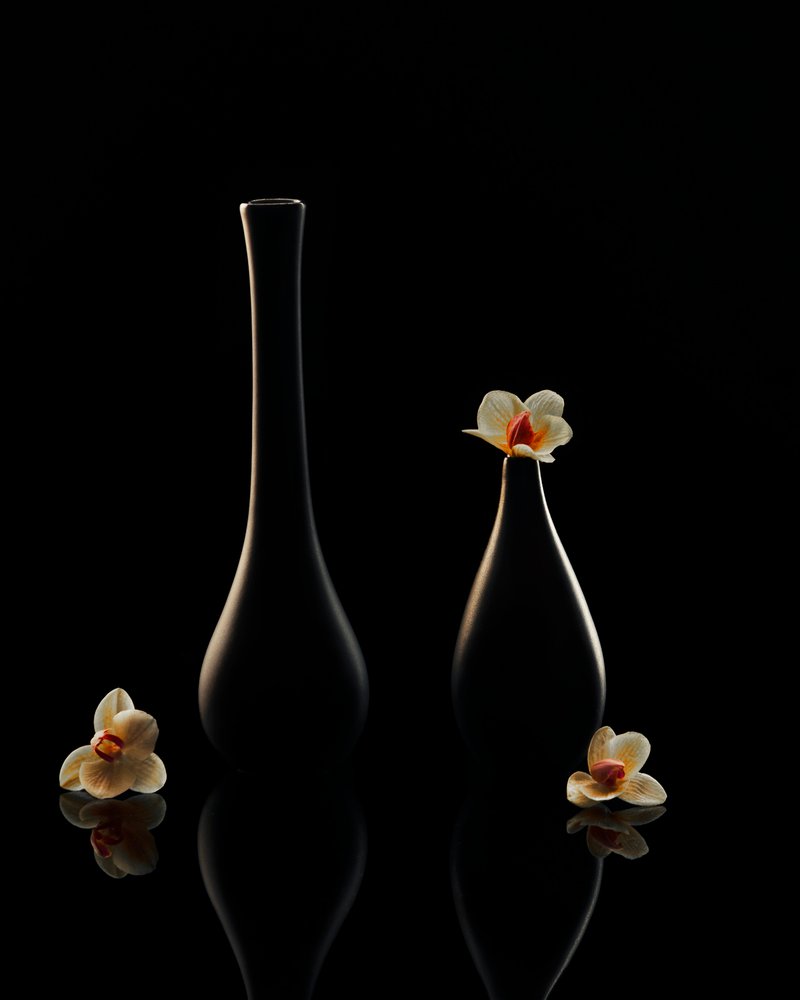 Elegante orkide-refleksjoner av Louie Luo