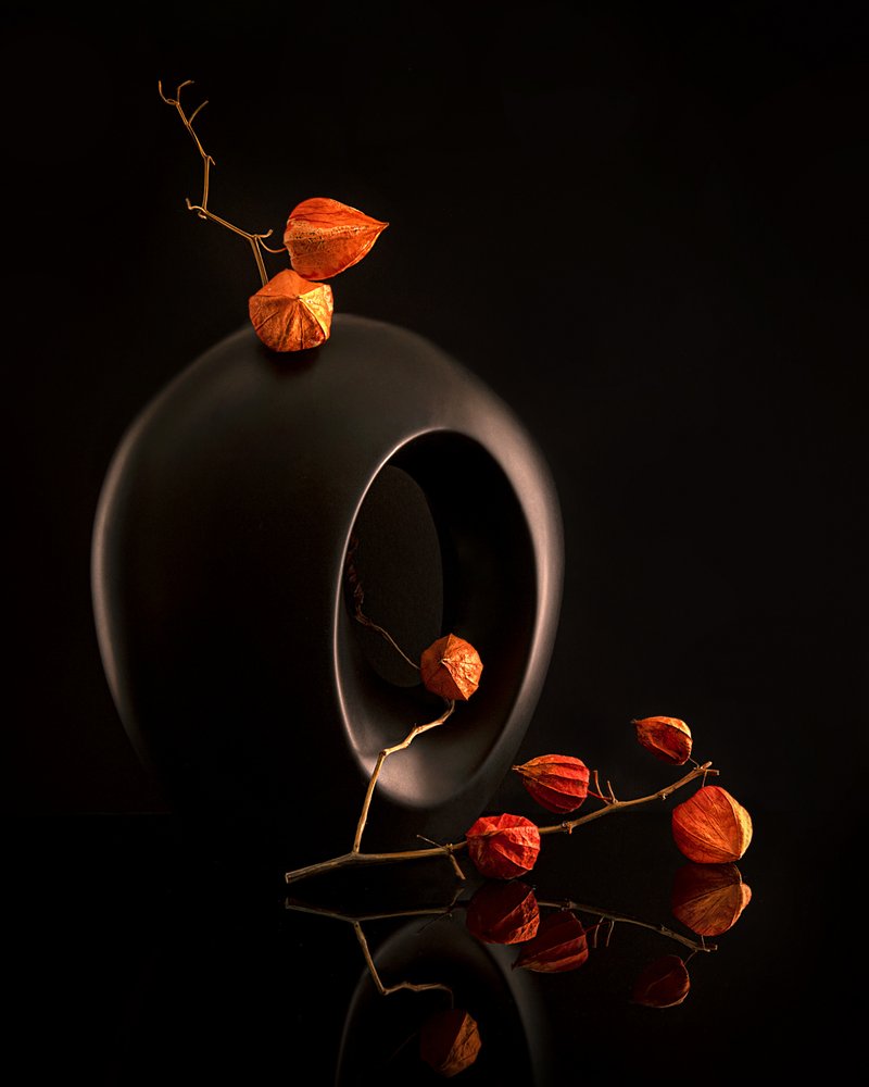 Oransje planter, svart vase av Louie Luo
