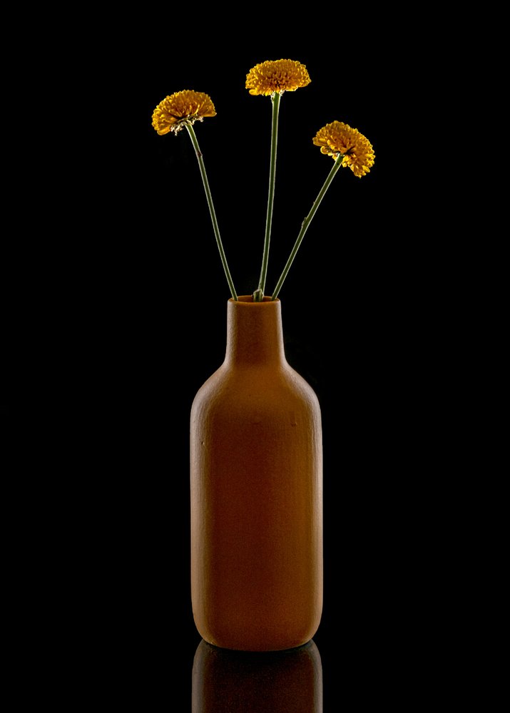 Varme blomster i brun vase av Louie Luo