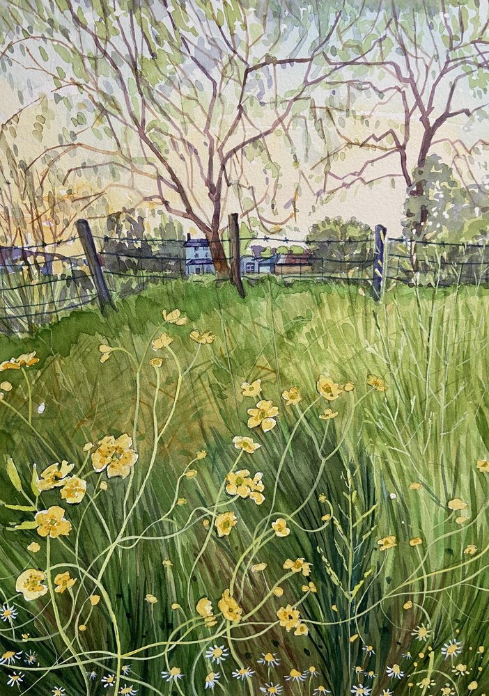 Engblomster og gjerde av Luisa Millicent
