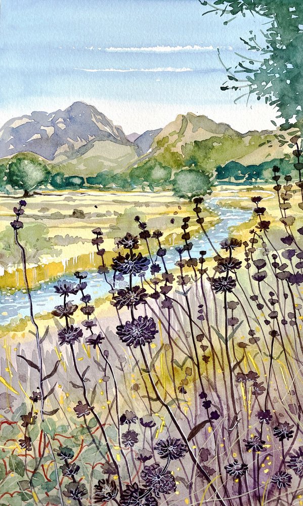  av Luisa Millicent