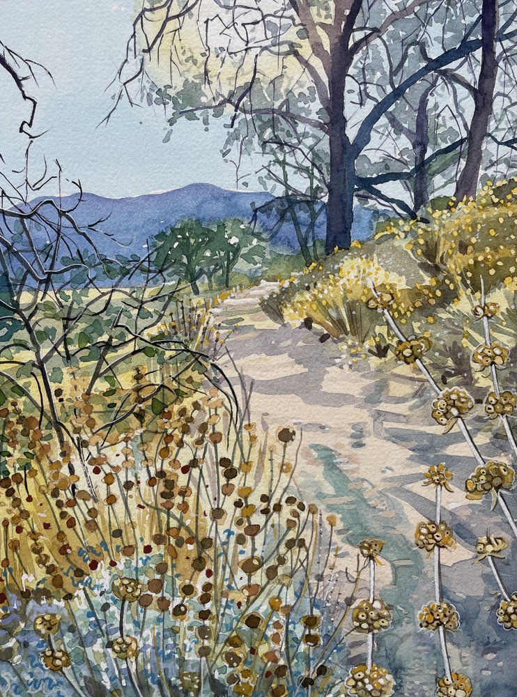 av Luisa Millicent