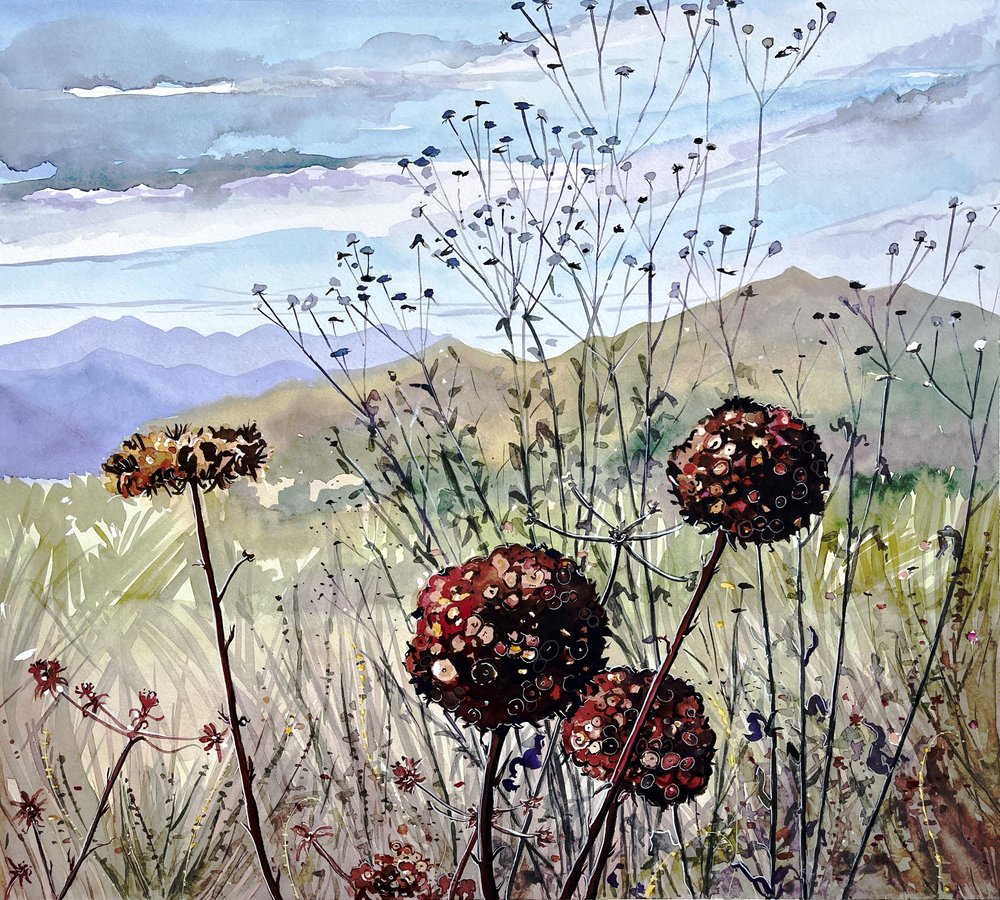  av Luisa Millicent