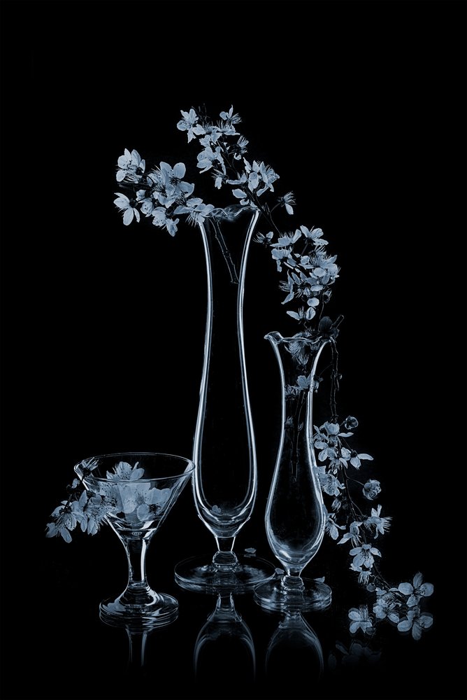 Blå blomster i glassvaser av Lydia Jacobs
