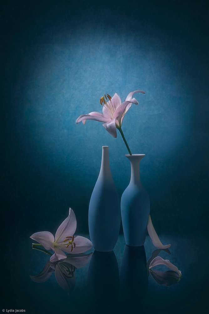 Elegante blå liljer av Lydia Jacobs