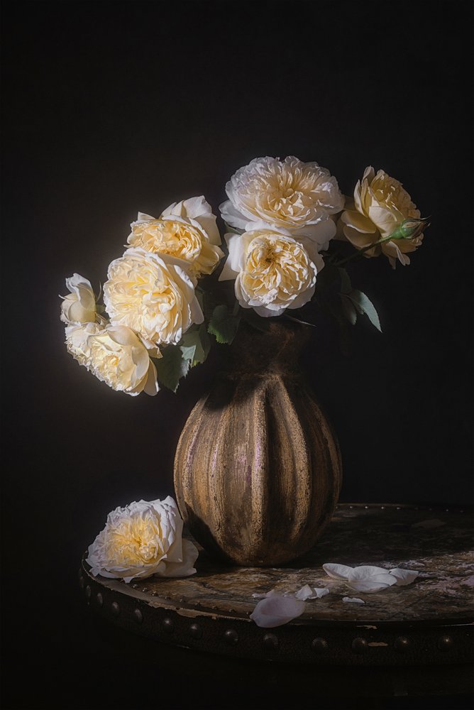 Elegant rosestilleben av Lydia Jacobs