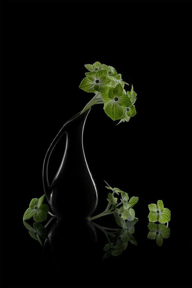 Refleksjon av grønne blomster av Lydia Jacobs