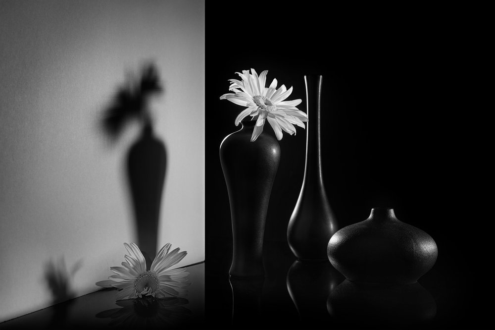 Monokrom blomsterduo av Lydia Jacobs
