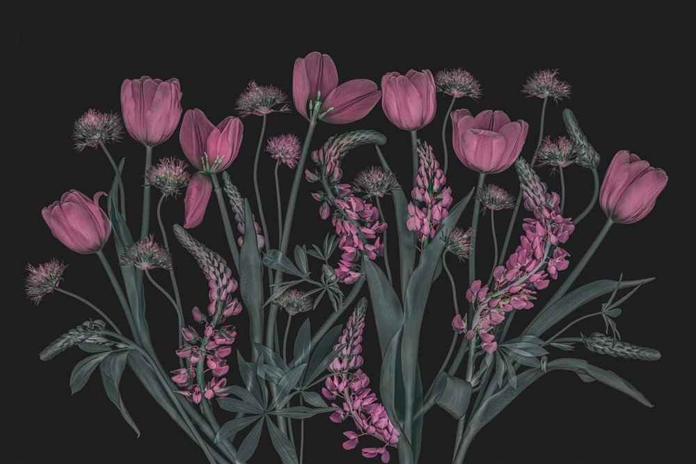 Stemningsfulle rosa blomster av Lydia Jacobs