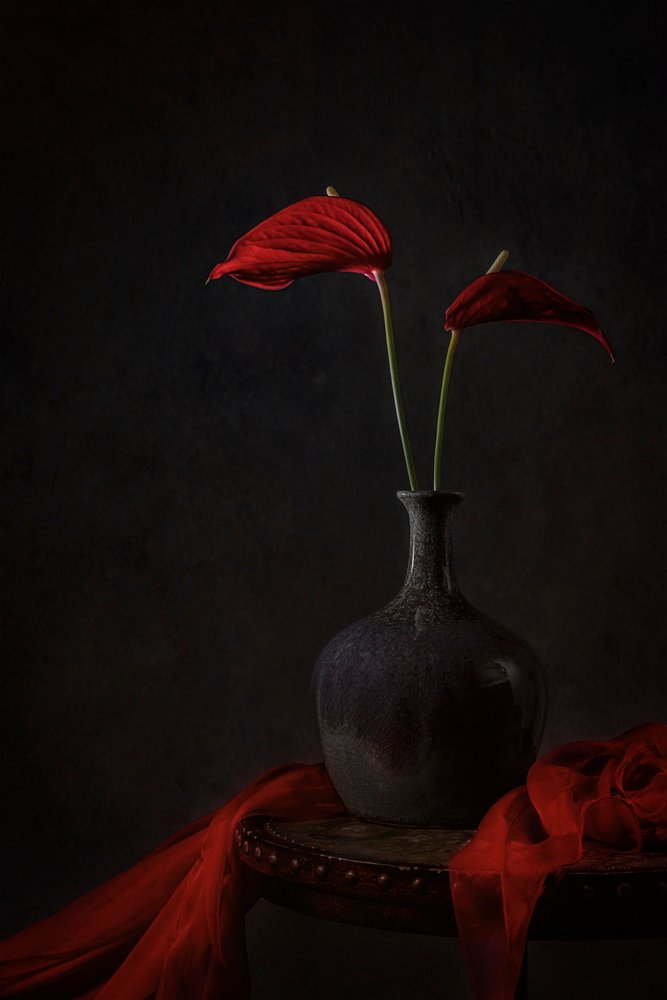 Stemningsfulle røde anthurium av Lydia Jacobs