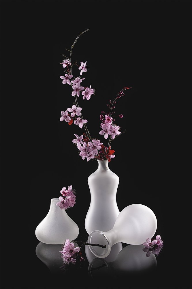 Rosa blomster, matte vaser av Lydia Jacobs