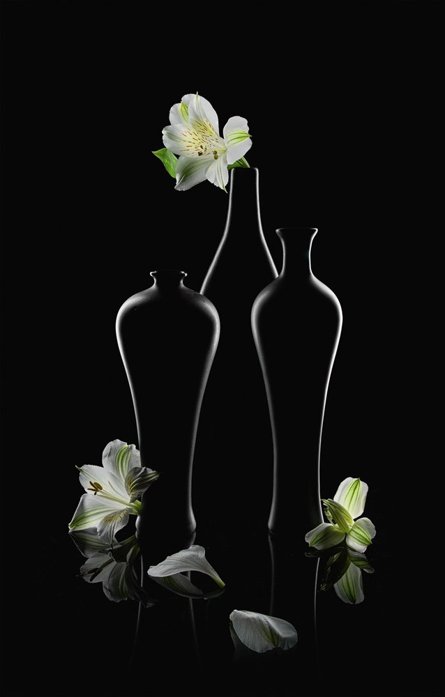 Hvite blomster, mørke vaser av Lydia Jacobs