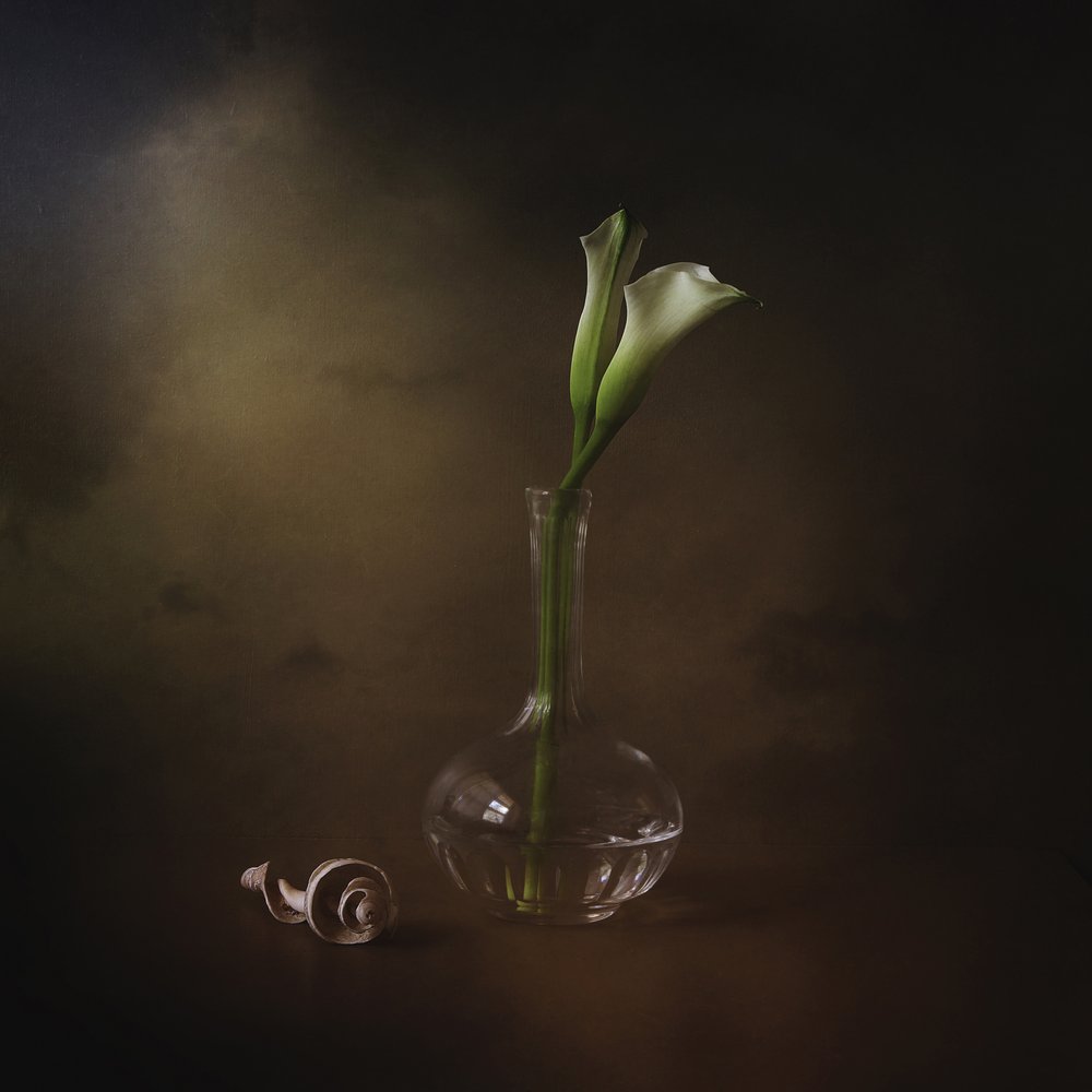 Elegante calla-liljer av Margaret Halaby