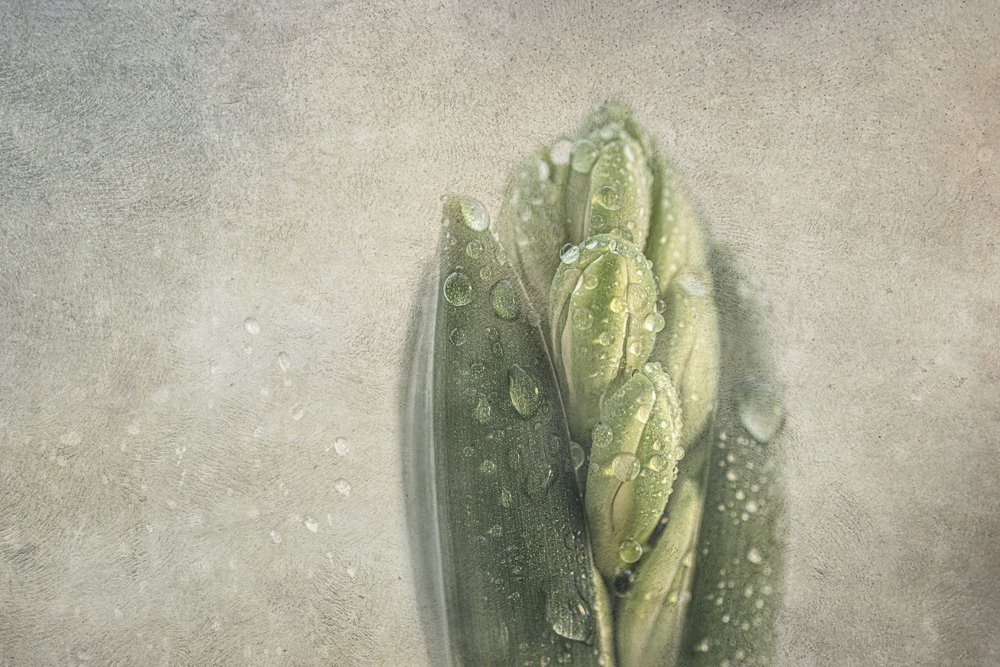  av Marie-anne Stas