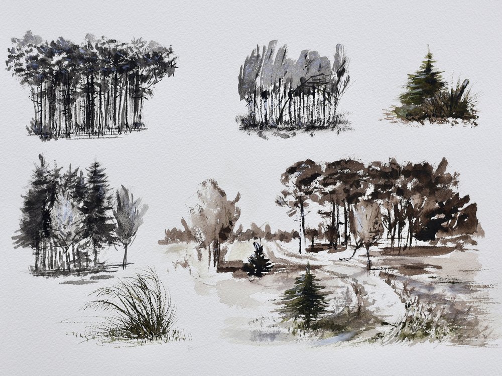 Studier av skogstrær av Marina Kozyr