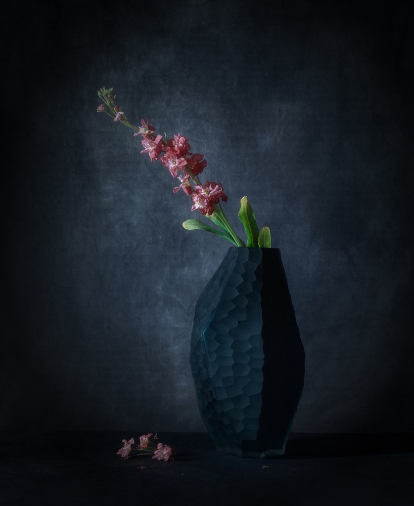 Mørk blomsterprakt av May G