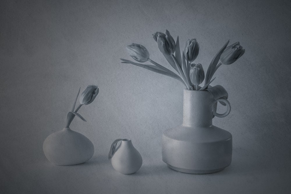 Stemningsfullt stilleben med tulipaner av May G