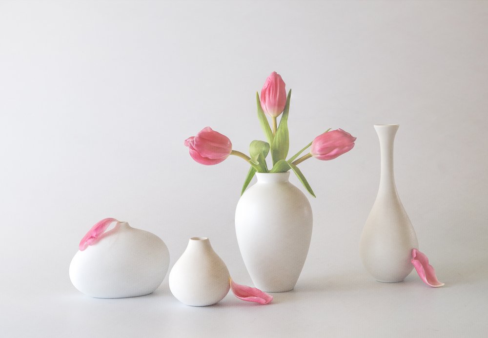 Rosa tulipaner i vaser av May G