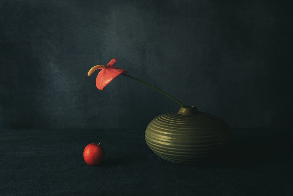Stilleben med rød anthurium av May G