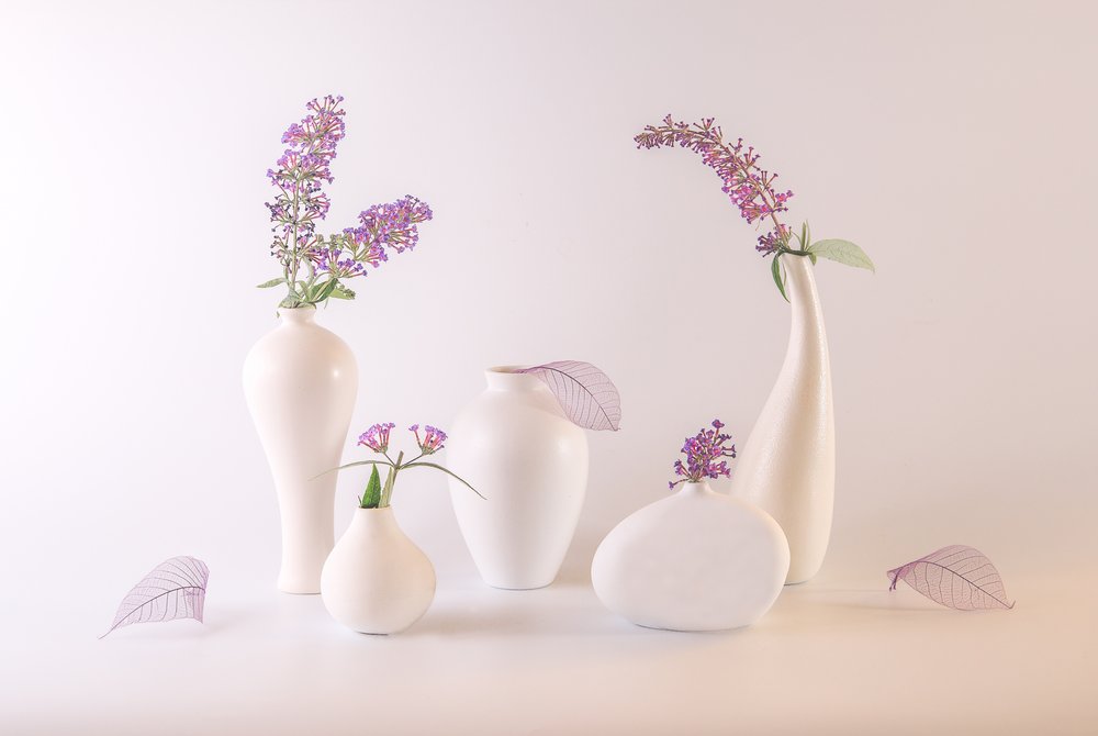 Hvite vaser og lavendelblomster av May G