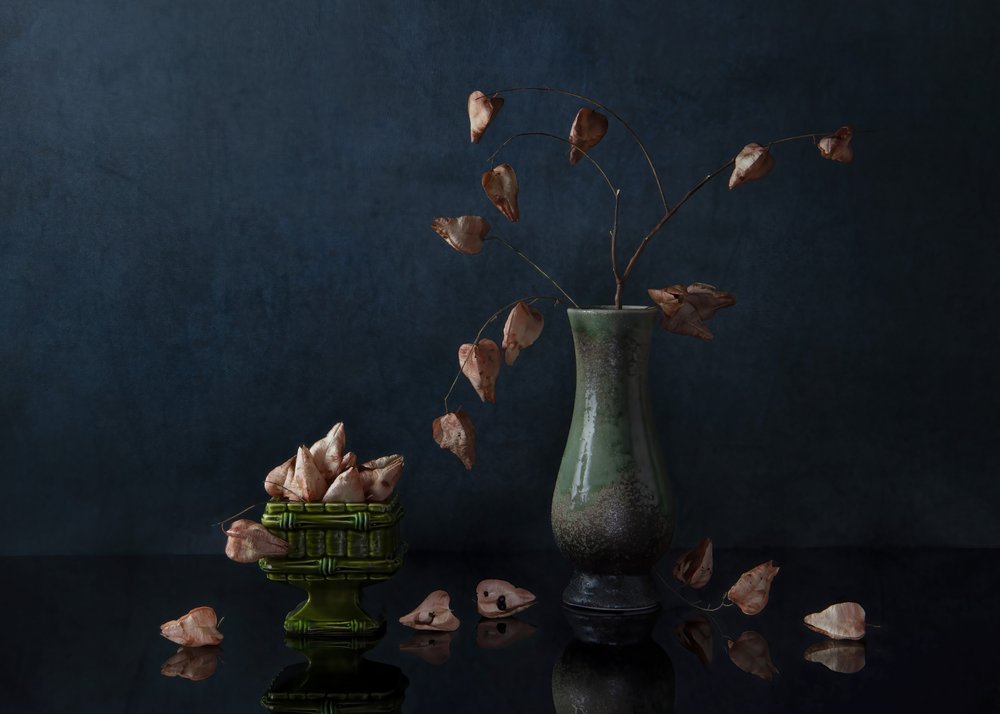 Mørkt botanisk stilleben av Ming Chen