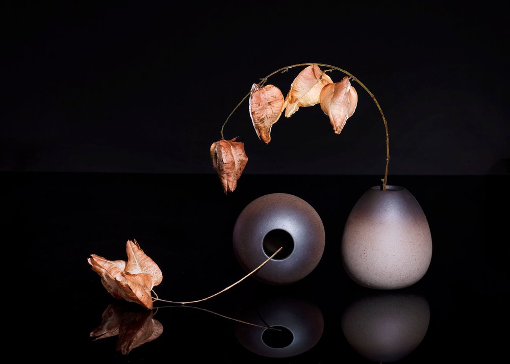 Tørkede lyktplanter av Ming Chen