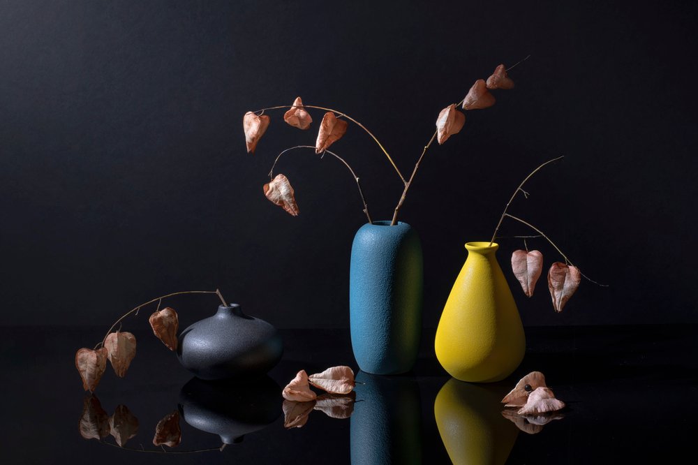 Moderne botaniske vaser av Ming Chen