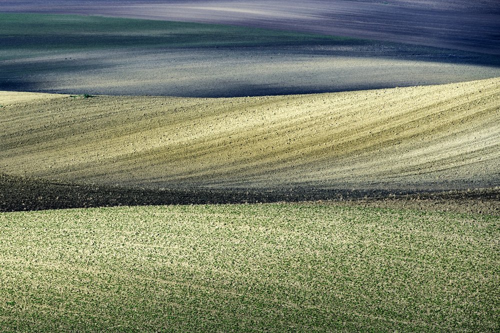  av Nicola Figliuolo