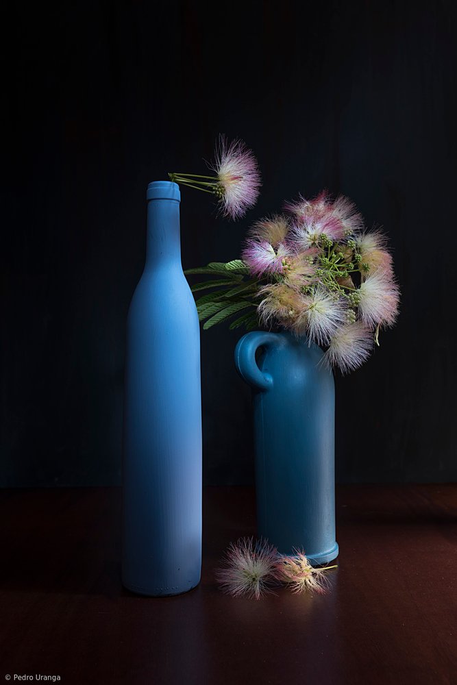 Botaniske blå- og rosatoner av Pedro Uranga