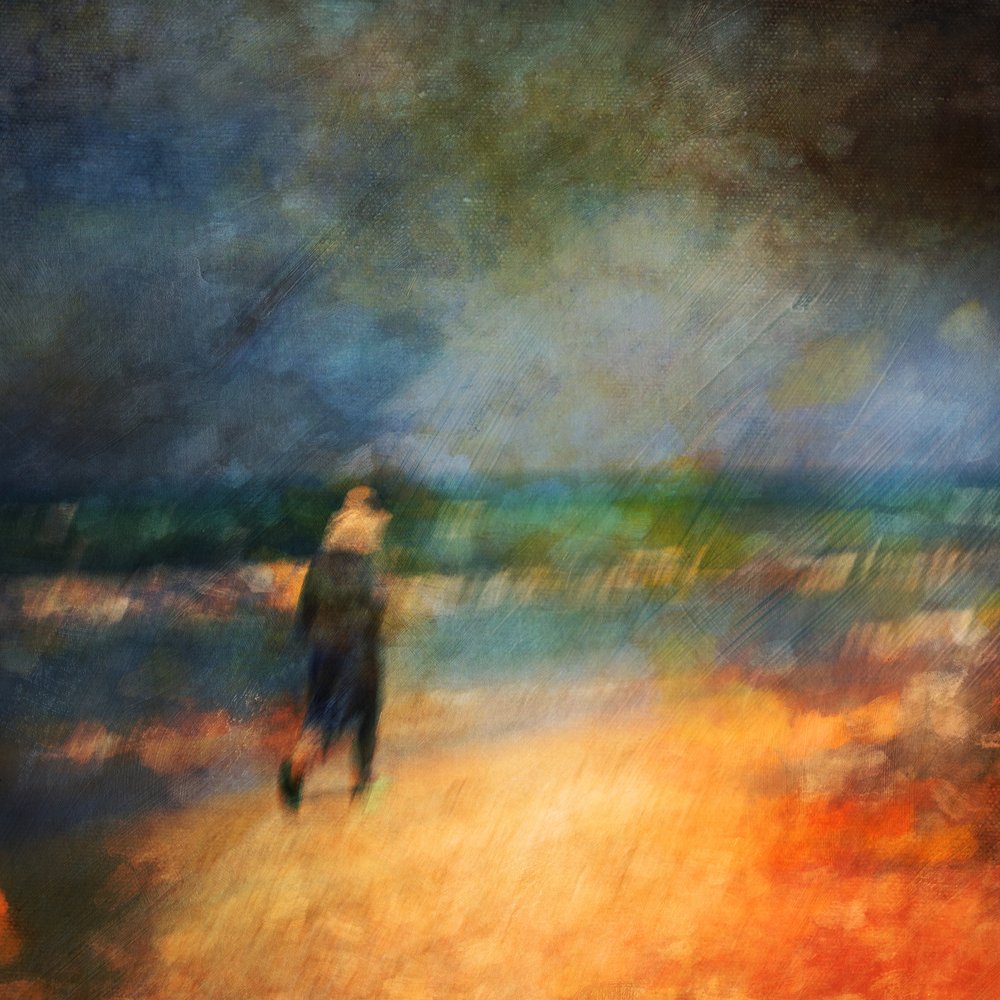 Ensom strandtur av Rachel Pansky