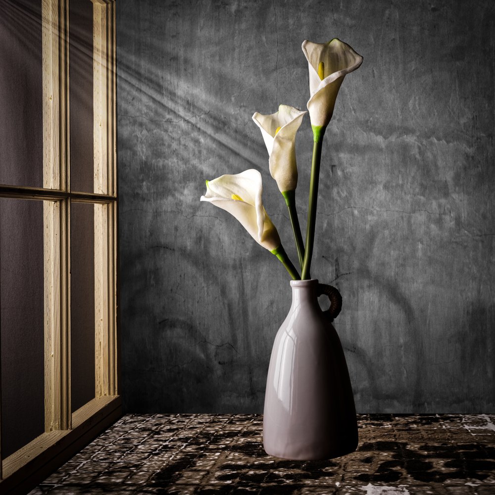 Calla-liljer i sollys av Rob Ryan