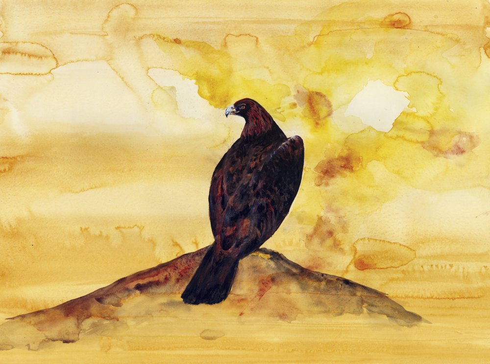  av RodMacIver