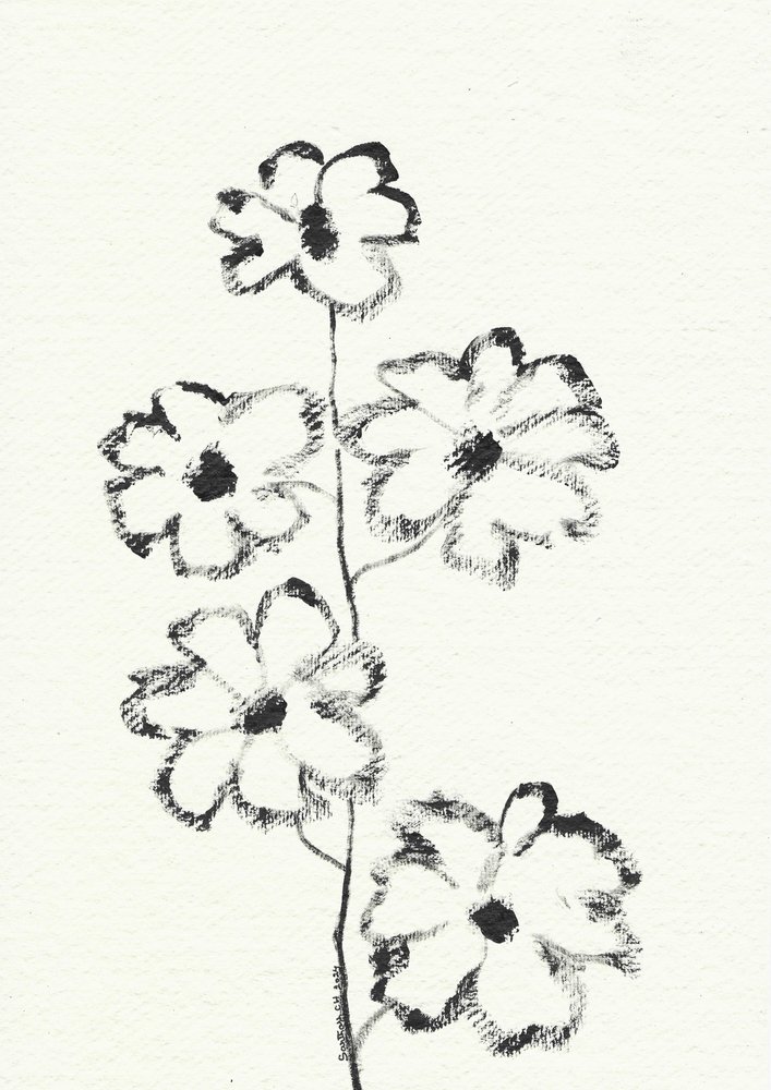 Blomsterskisse med kull av Santhosh ch